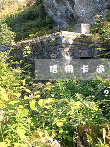 信用卡逾期兩萬銀行是否會(huì)起訴？解決方案及知乎經(jīng)驗(yàn)分享